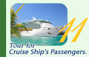 Tour for Cruise Ship Passengers.